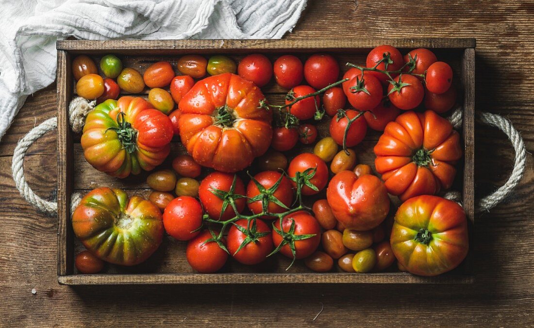 Colorful Heirloom tomatoes in rustic wooden tray over dark wooden background
