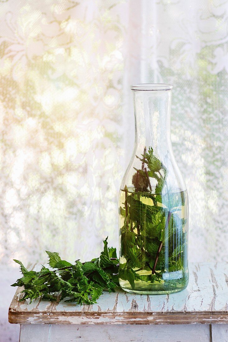 Bottle of hot herbal tea with bunch of fresh mint, served on old wooden stool with window at background