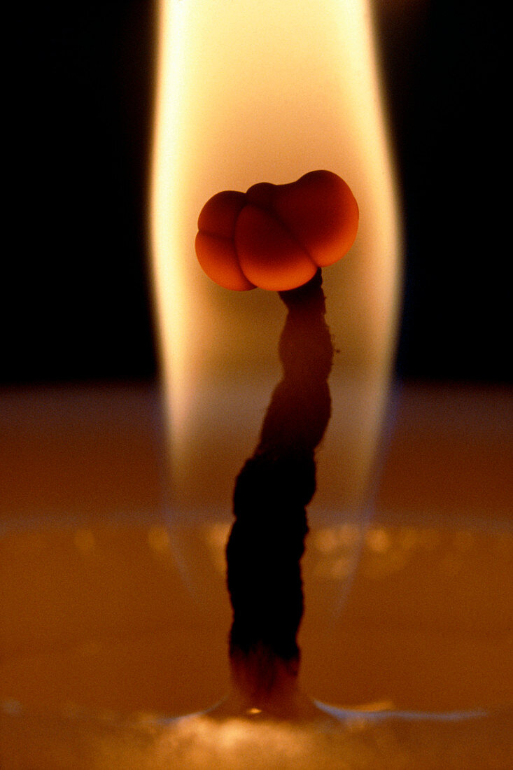 Close-up of the flame of a candle
