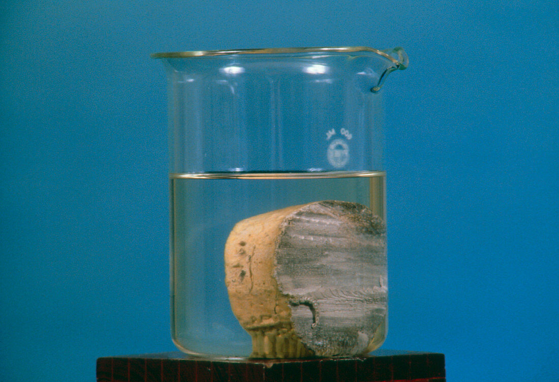 Piece of sodium stored in a beaker of oil