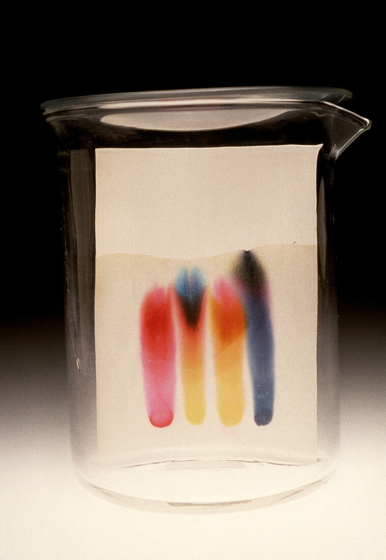 Paper chromatography of dyes