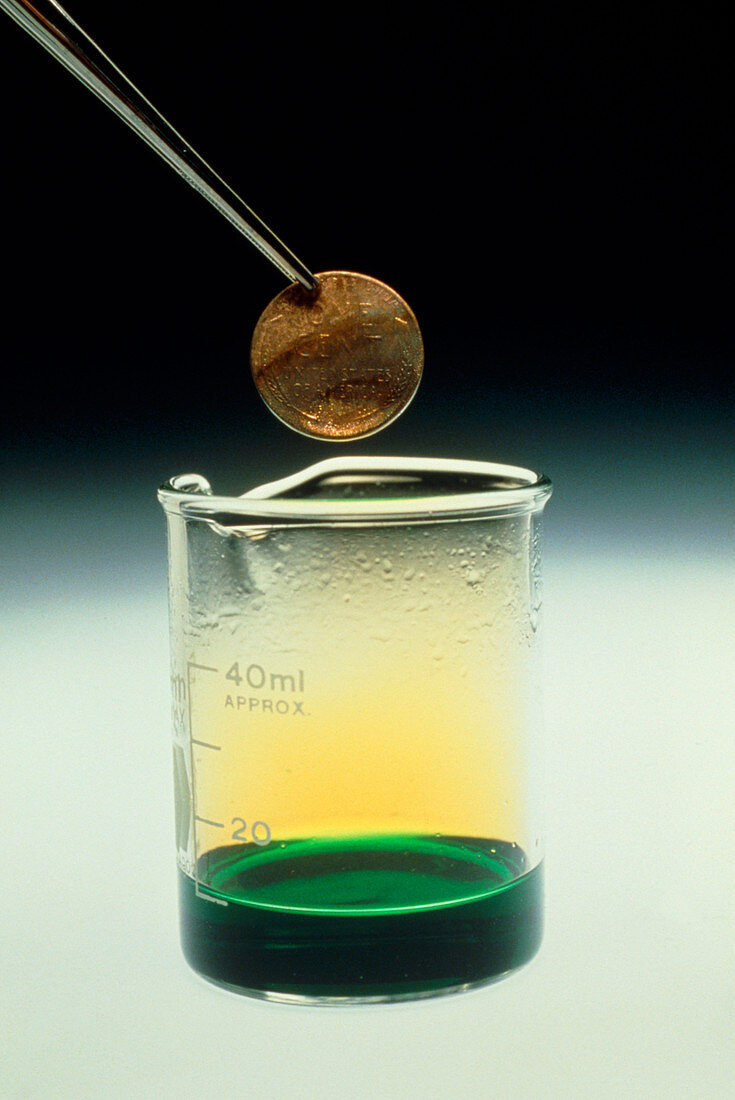 Copper penny reacting with nitric acid