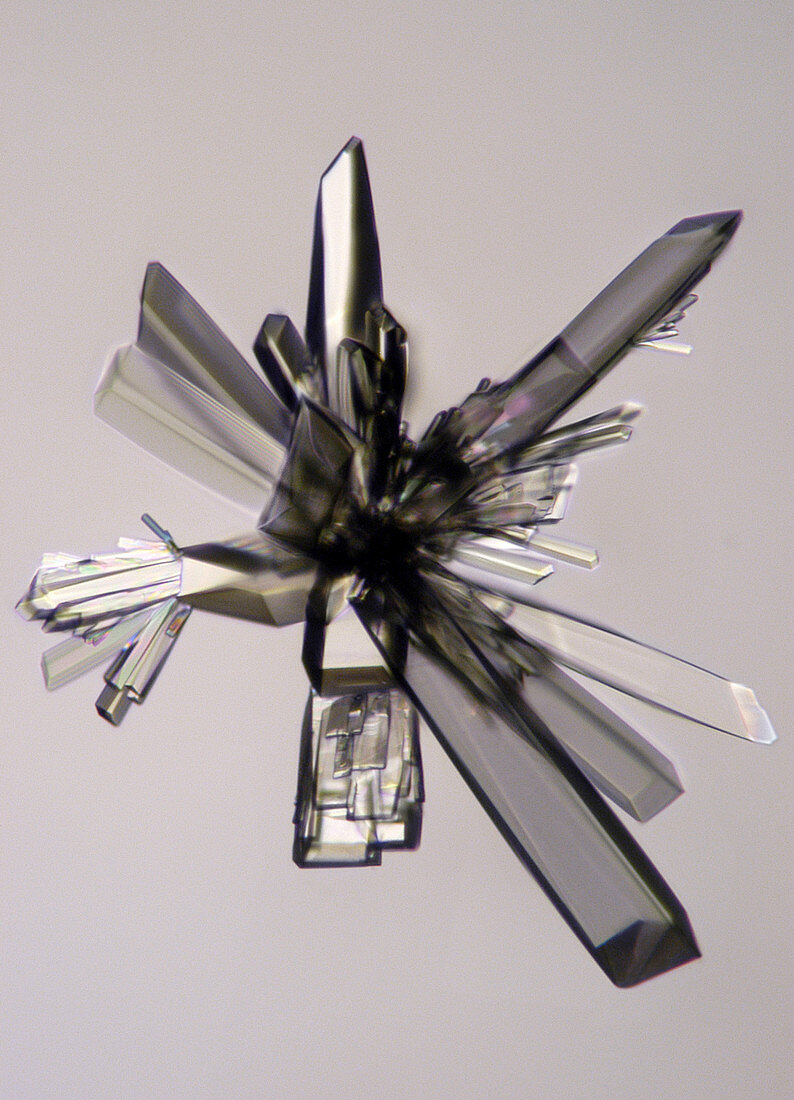 Ascorbic Acid Crystal