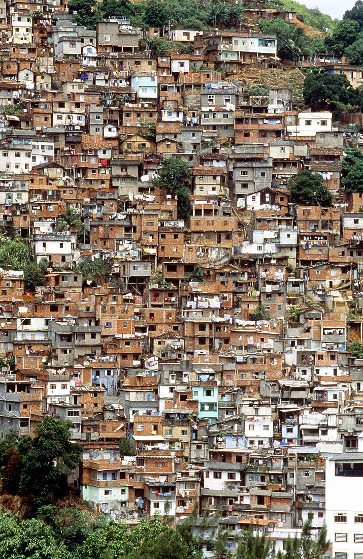 'Favela Shantytowns,Rio de Janeiro'