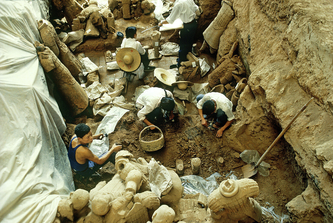 Excavating Terracotta Warriors