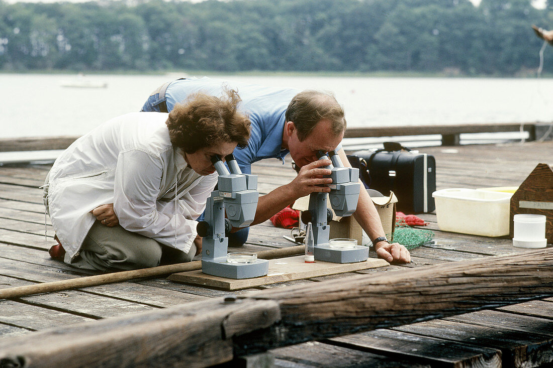 Outdoor Lab