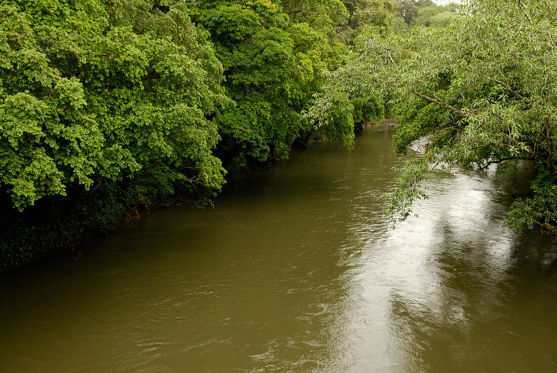 'Puerto Viejo River,Costa Rica'