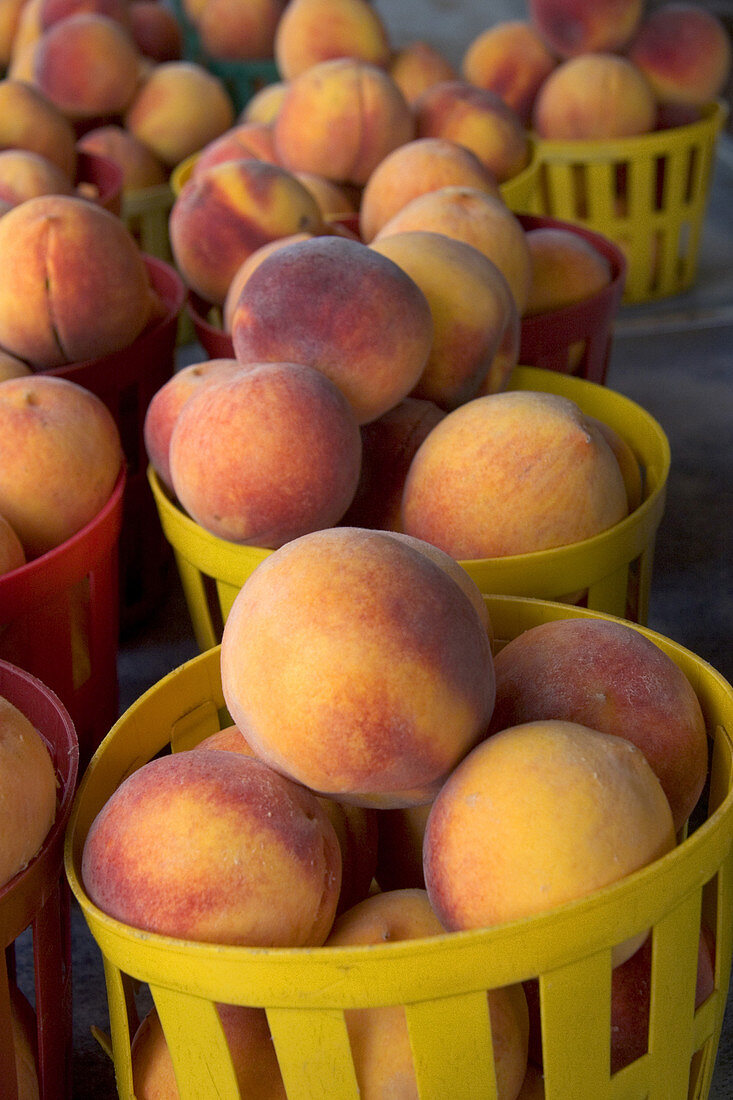 Peaches sold at a fruit stand