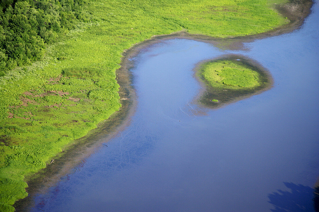 Mississippi River Wetlands