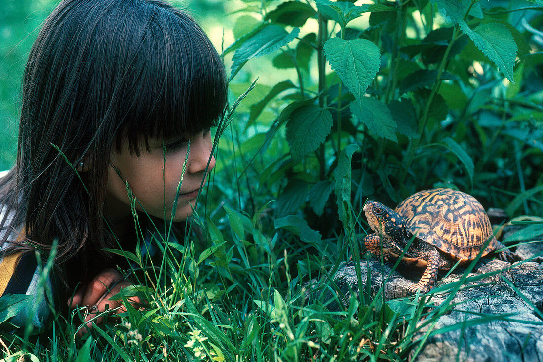 Girl and Box Turtle