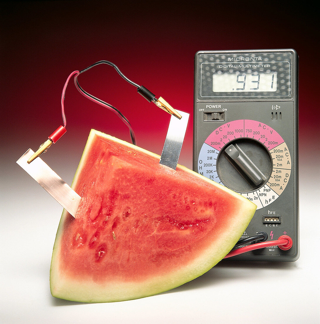 Voltaic Cell With Watermelon
