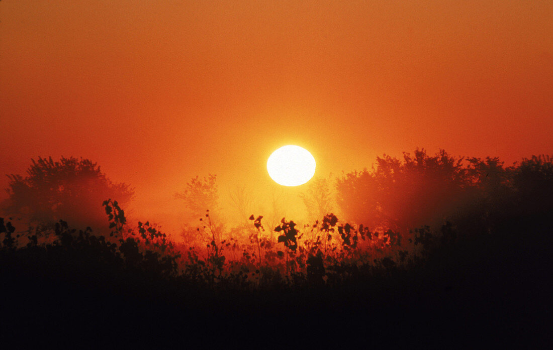 Sunrise over Kansas