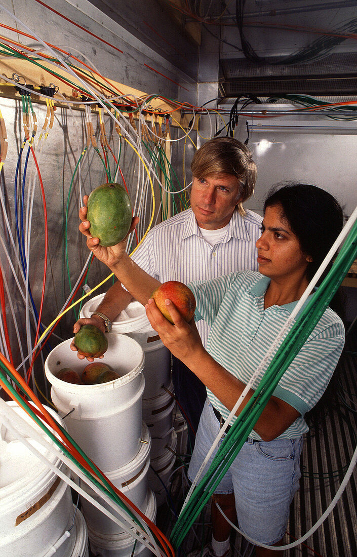 Agricultural Research