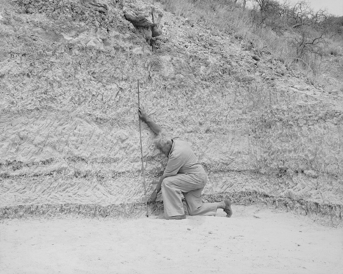 Louis Leakey at Olduvai Site