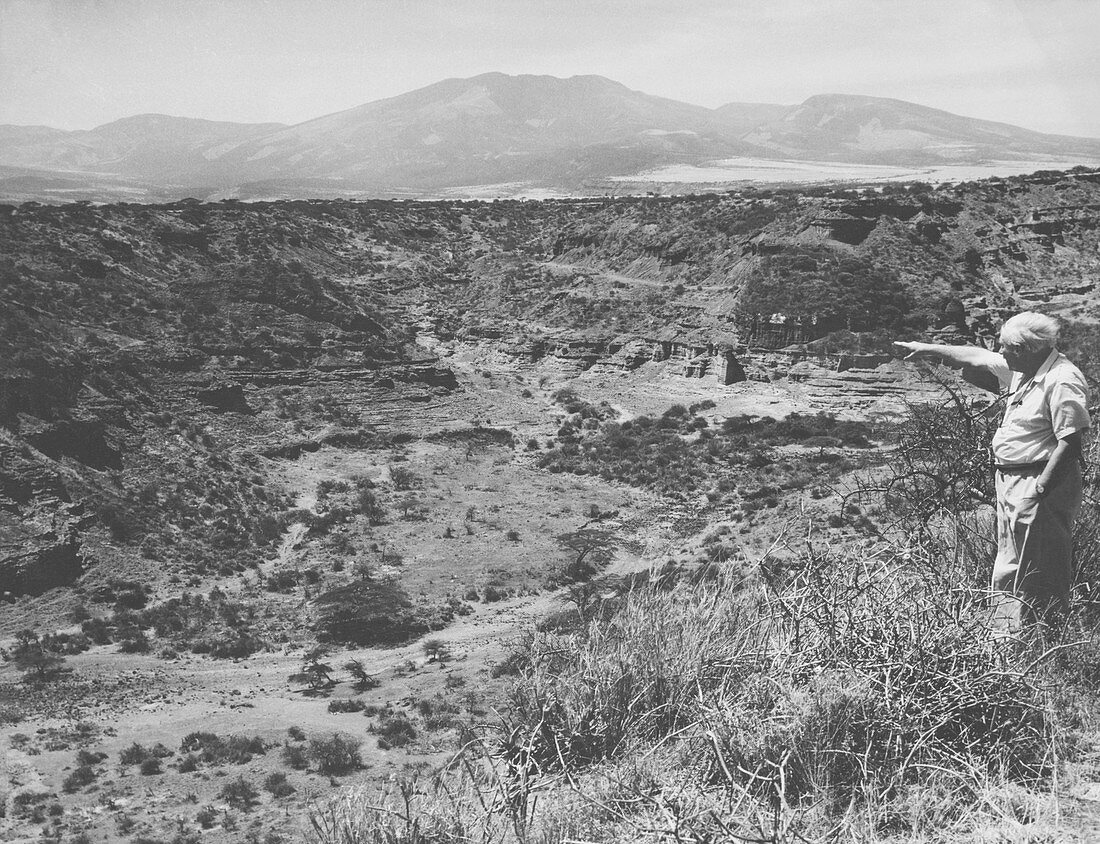 Leakey and Olduvai Gorge