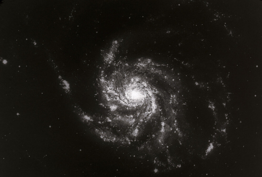 'Pinwheel Galaxy,M101'
