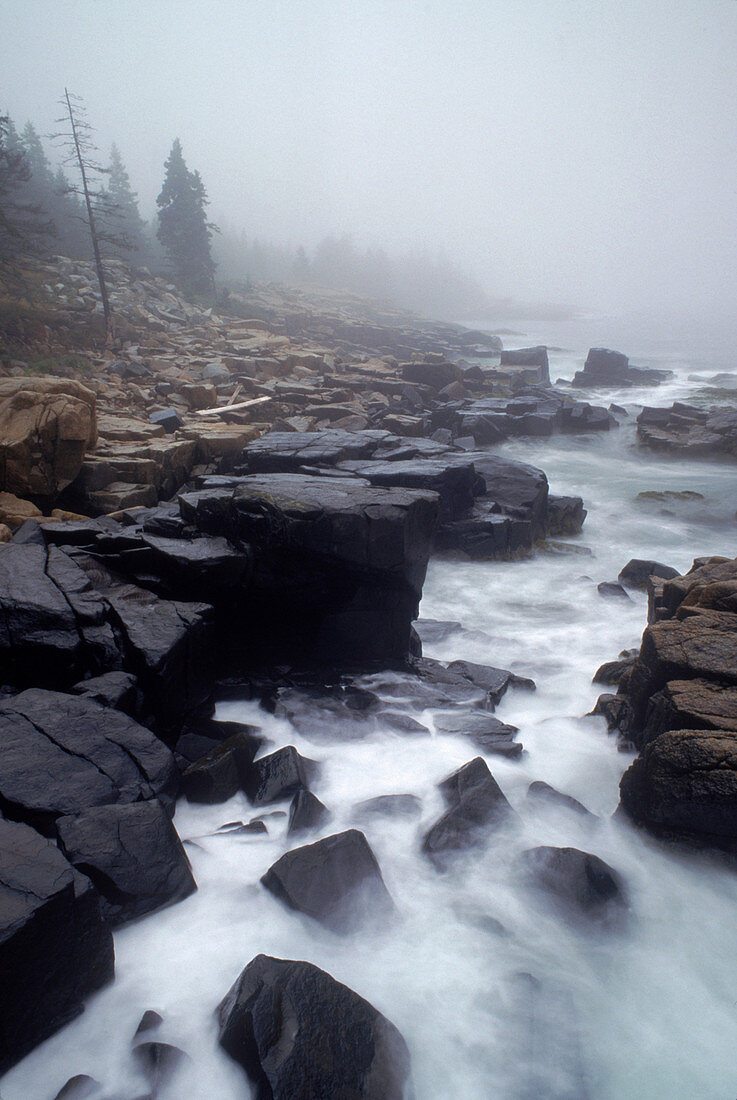 'Acadia National Park,Maine'