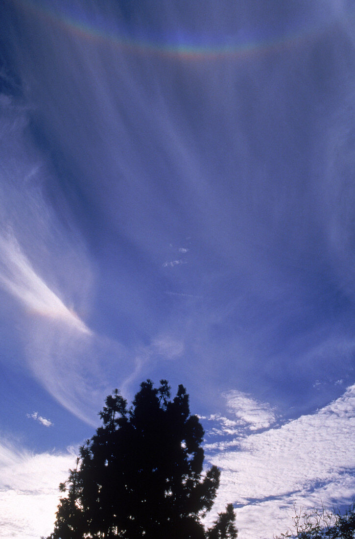 Circumzenithal Arc