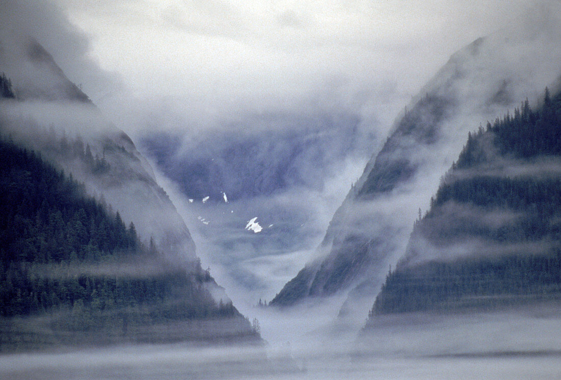 'Tongass National Forest,Alaska'