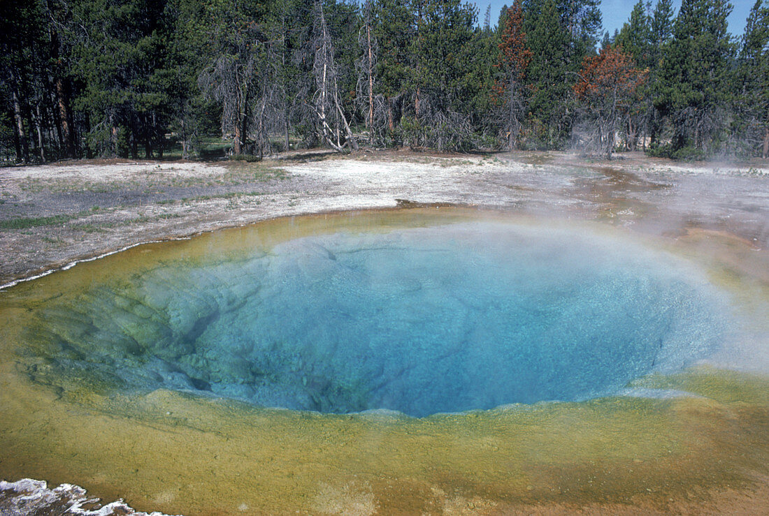 'Morning Glory Pool,Yellowstone NP'