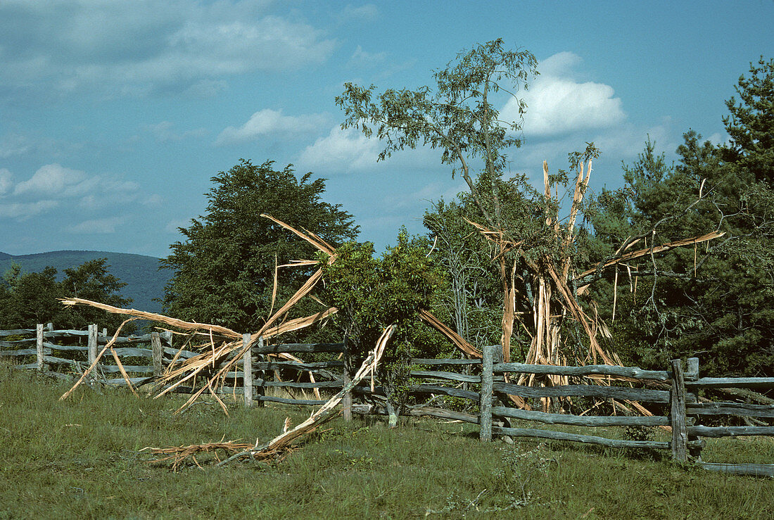 Lightning Damage