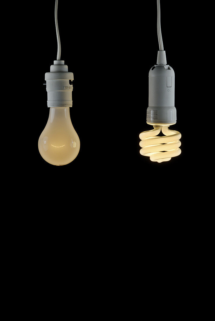 Light Bulb Comparison