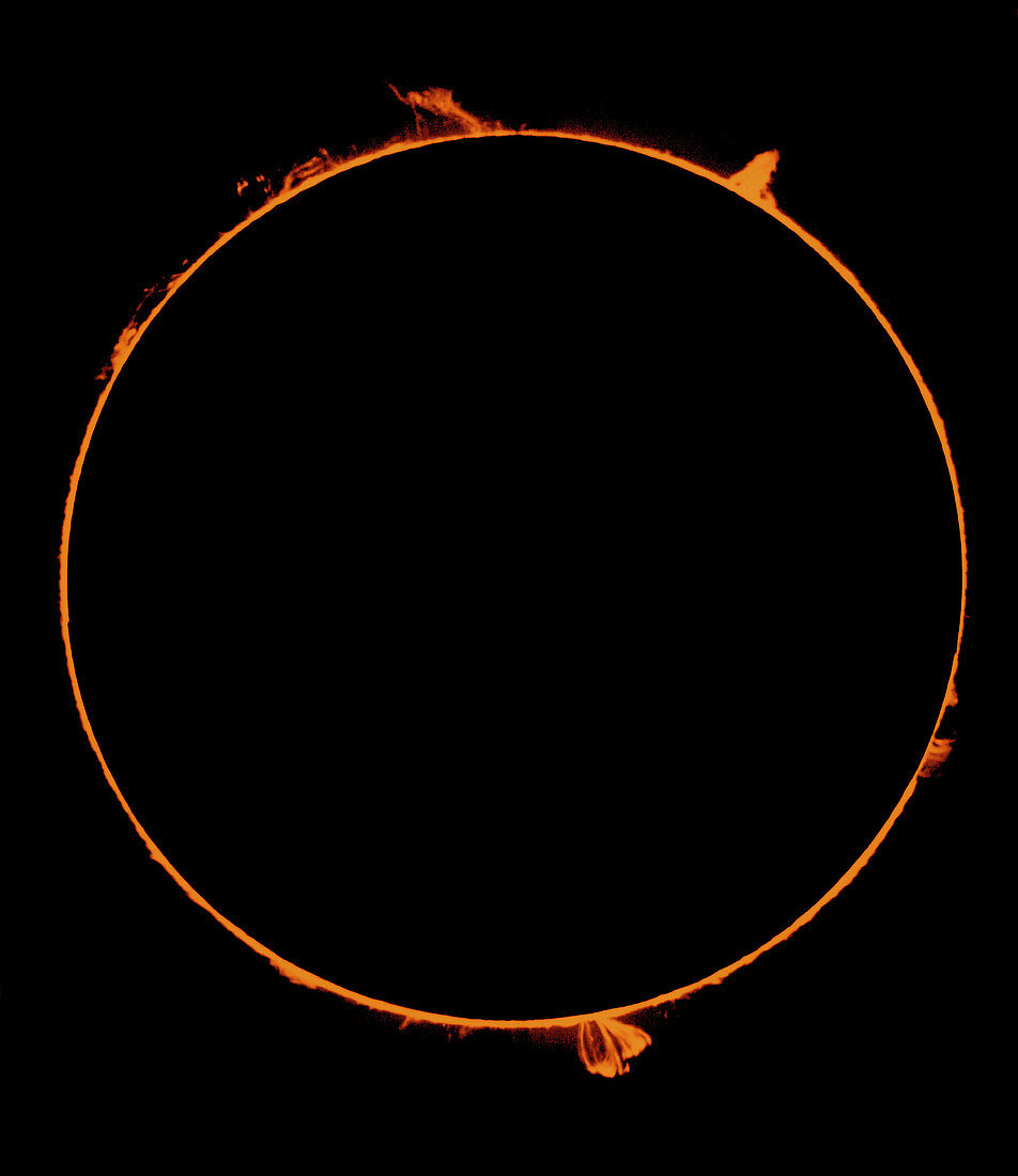 Solar Prominence