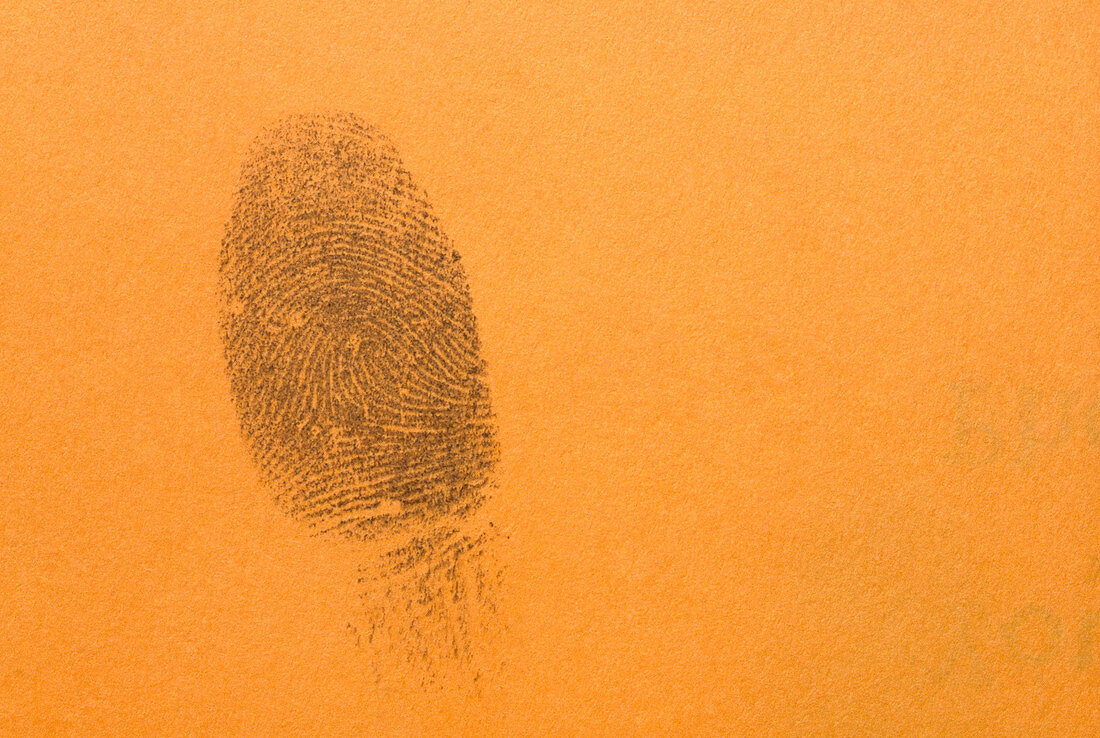 Human Fingerprint