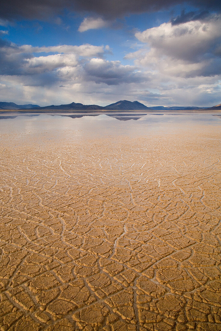 Alvord Desert,OR