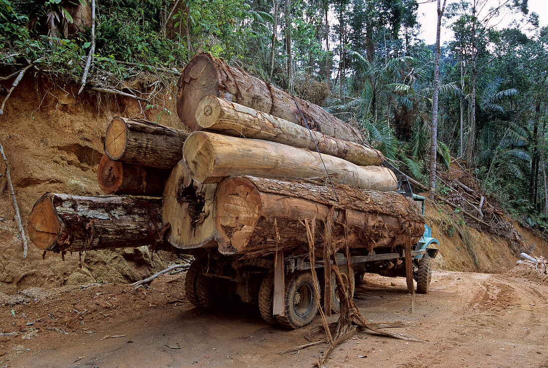 Logging Truck,Malaysia