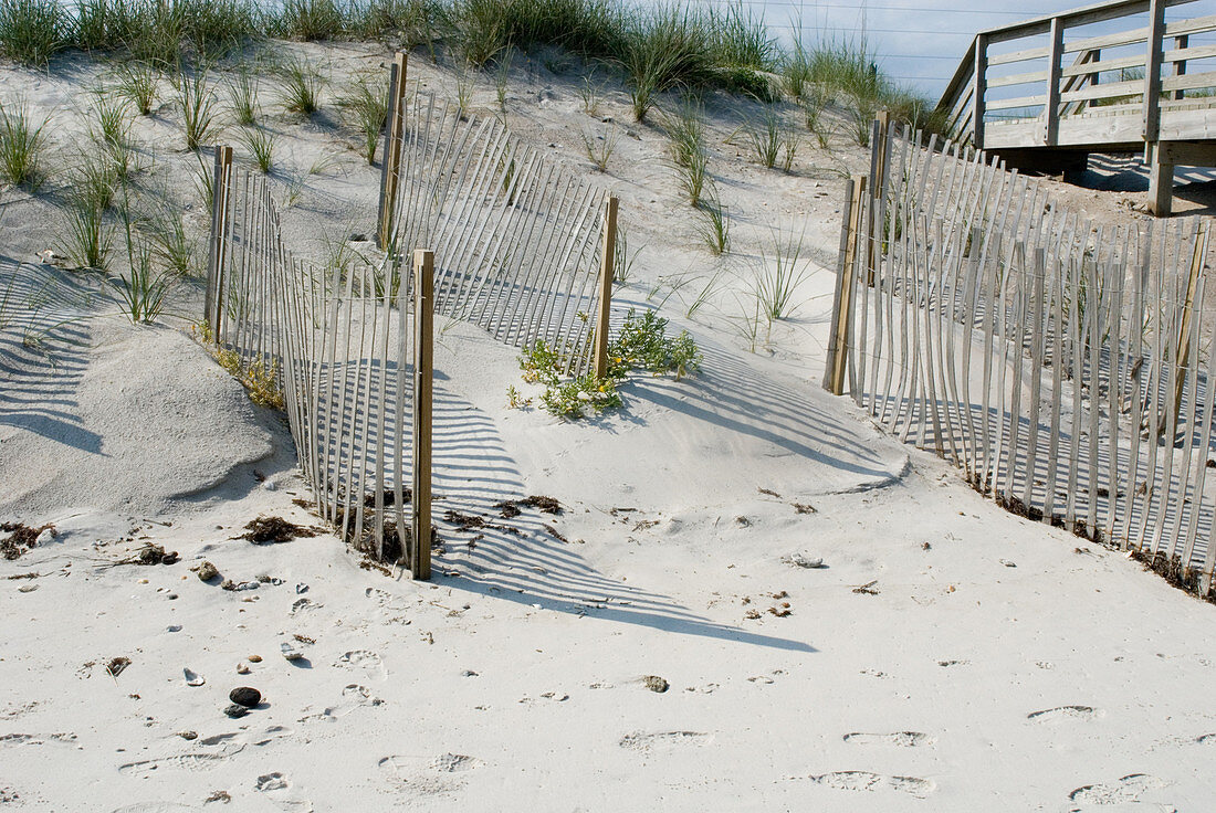 Sand trapping fence