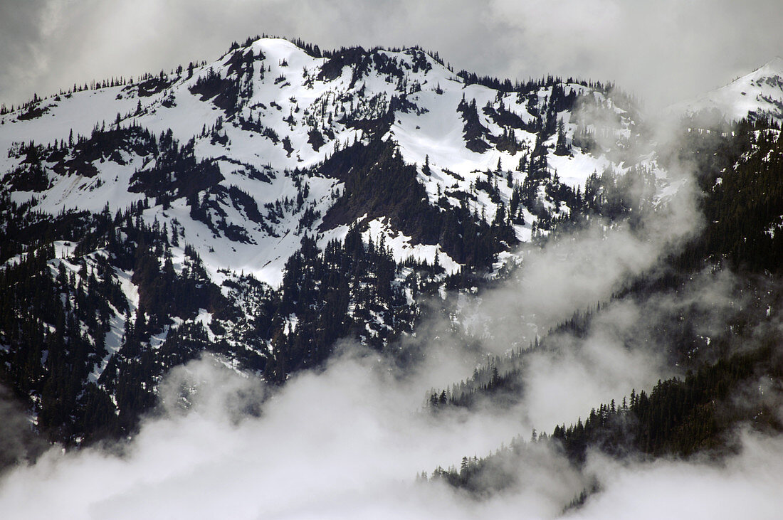 Olympic Mountain Range