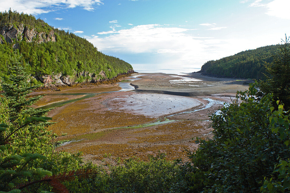 Low Tide in Bay of Fundy