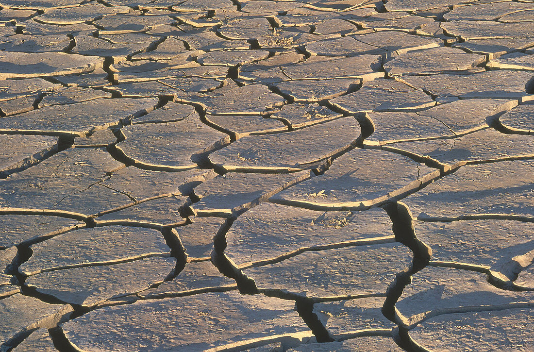 Cracked Mud in Namibia