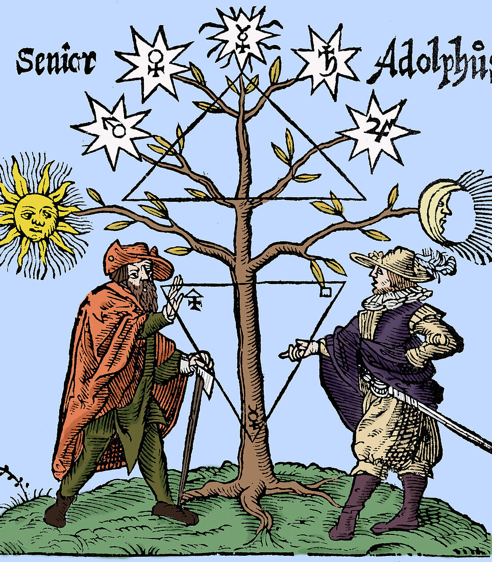 Alchemical Celestial Tree