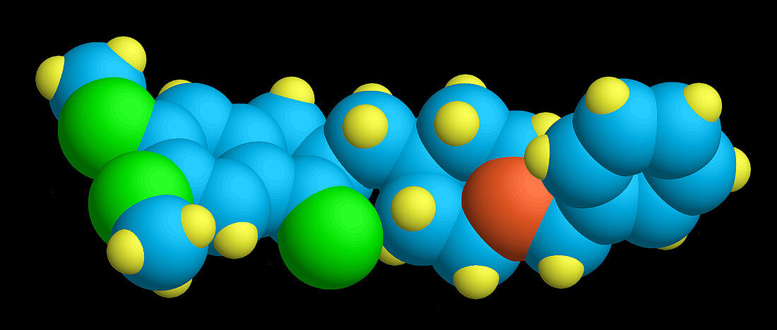 Donepezil Molecular Model