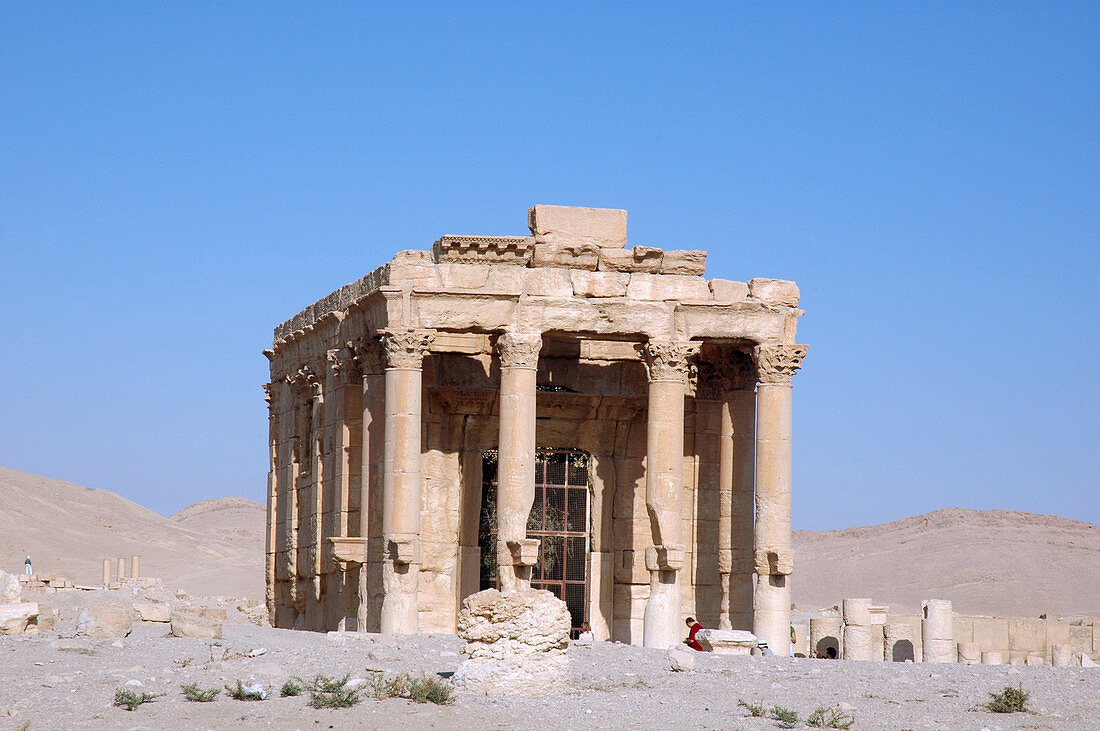 Palmyra,Syria