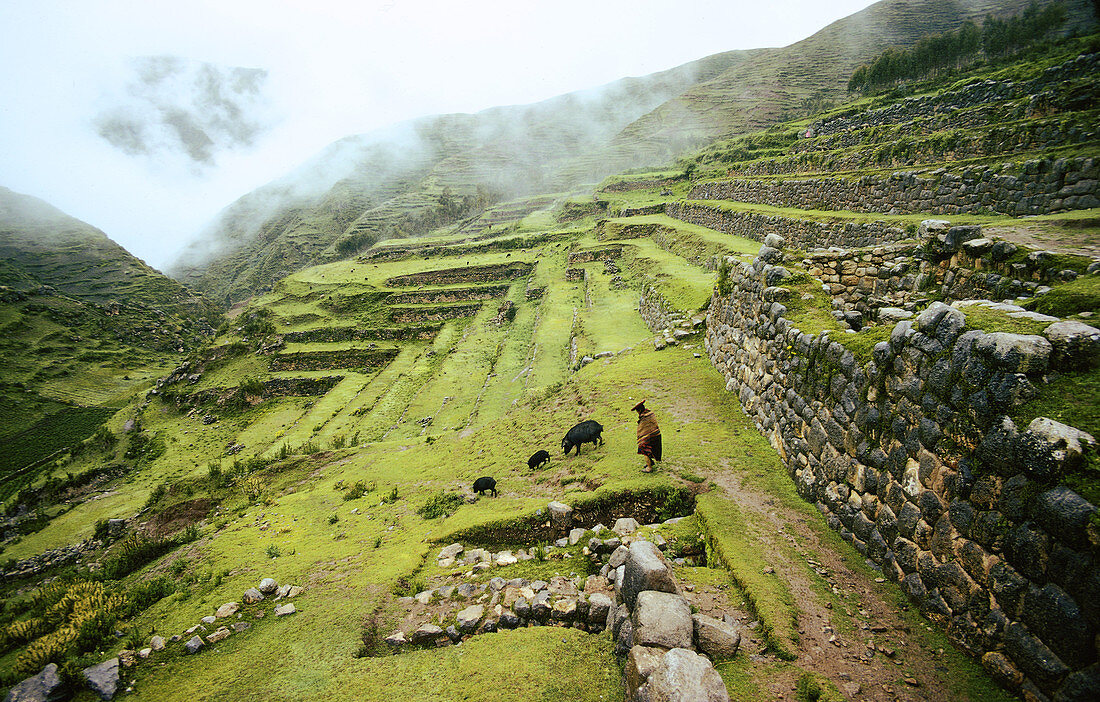 Sacred Valley of the Incas,Peru