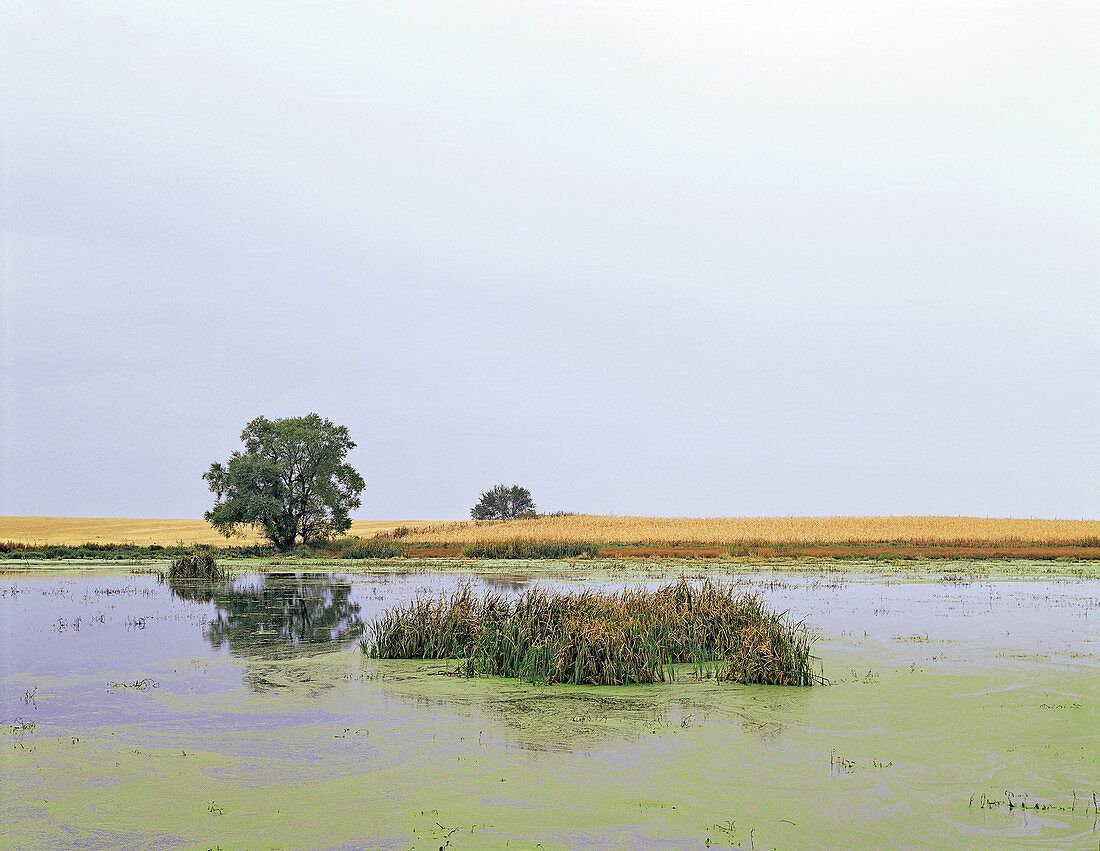 Nebraska wetlands