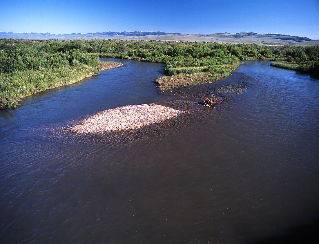 Red Rocks River