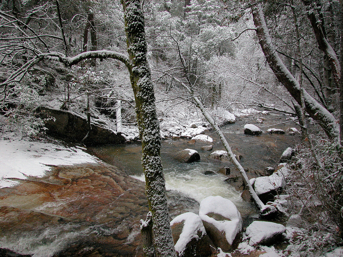 Berry Creek in winter