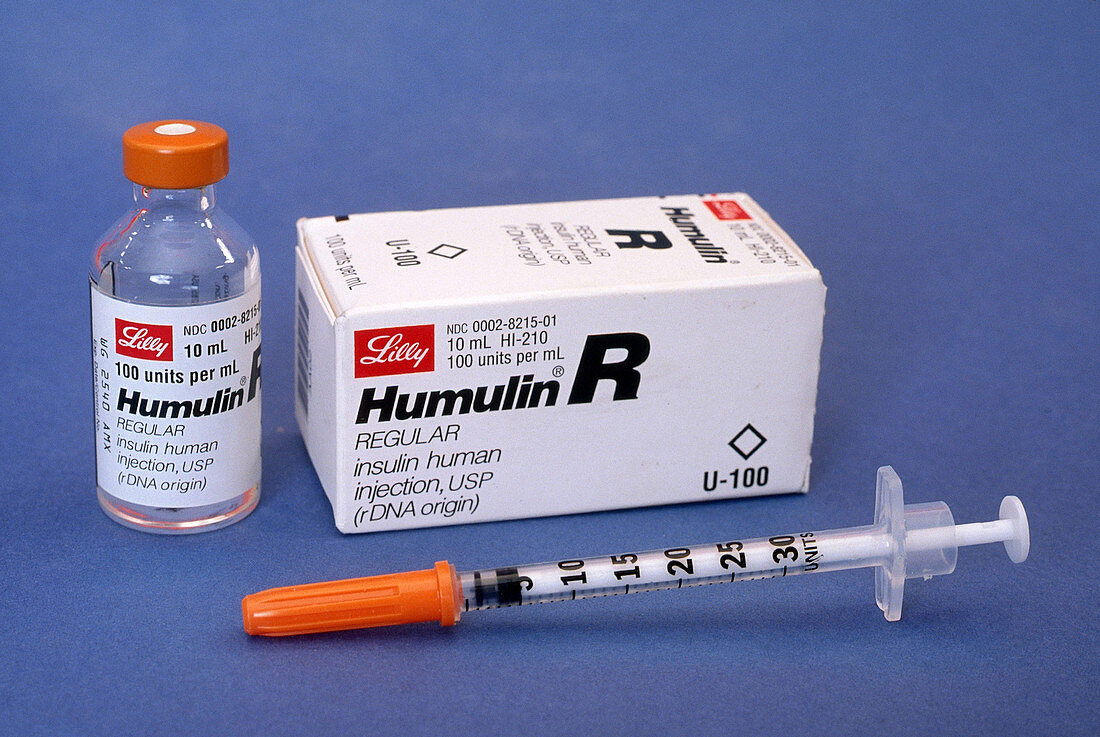 Insulin