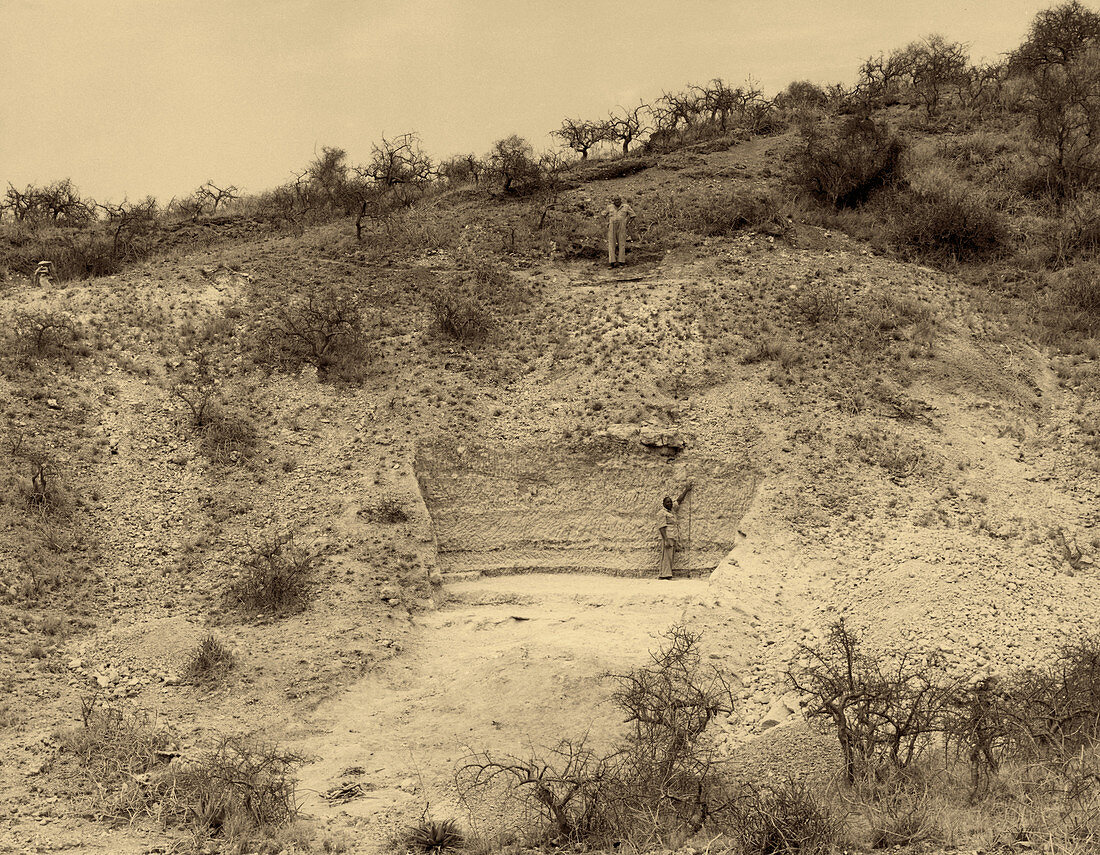 Excavations at Olduvai Gorge,Tanzania