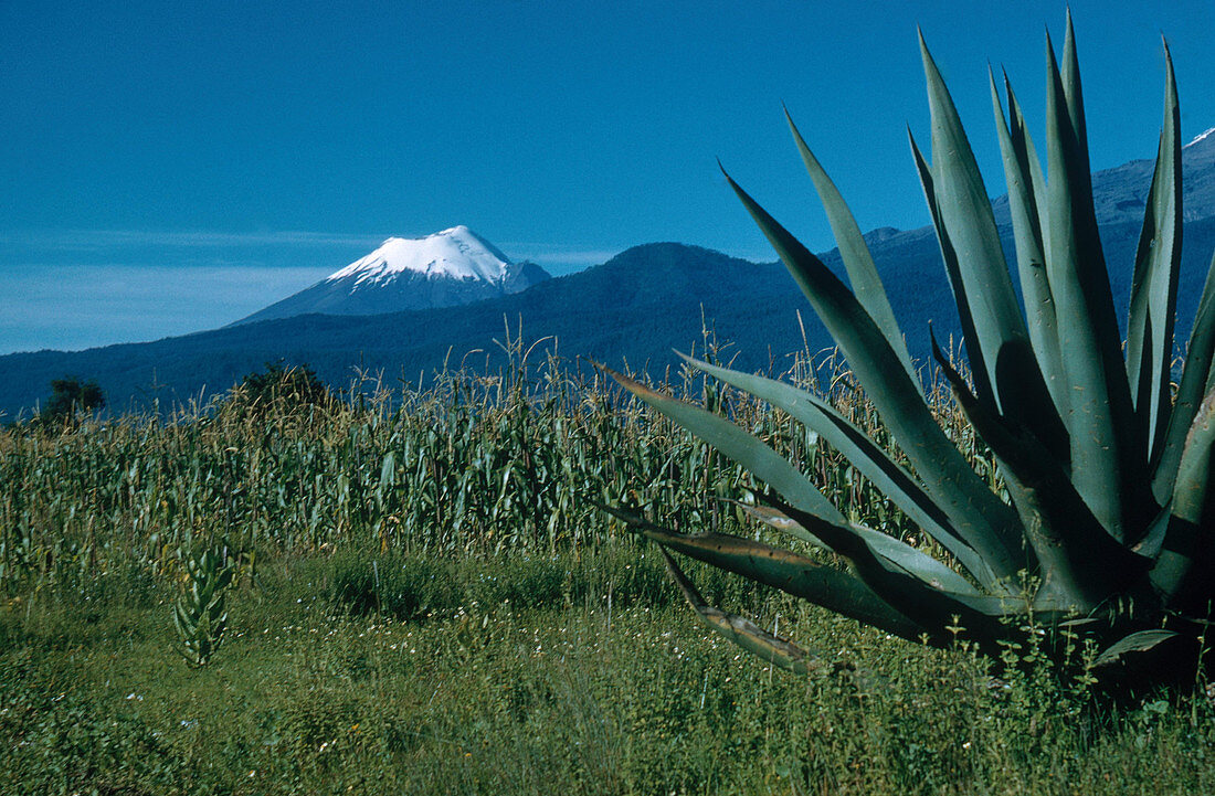Popocatepetl Volcano