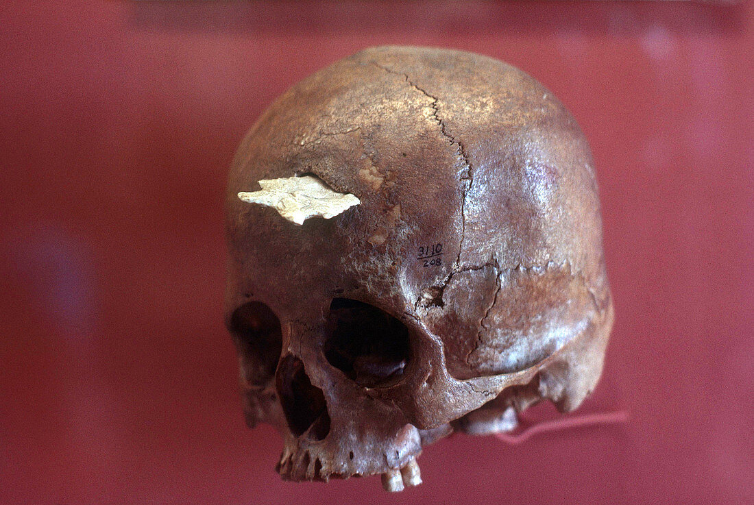 Skull With Spear Point