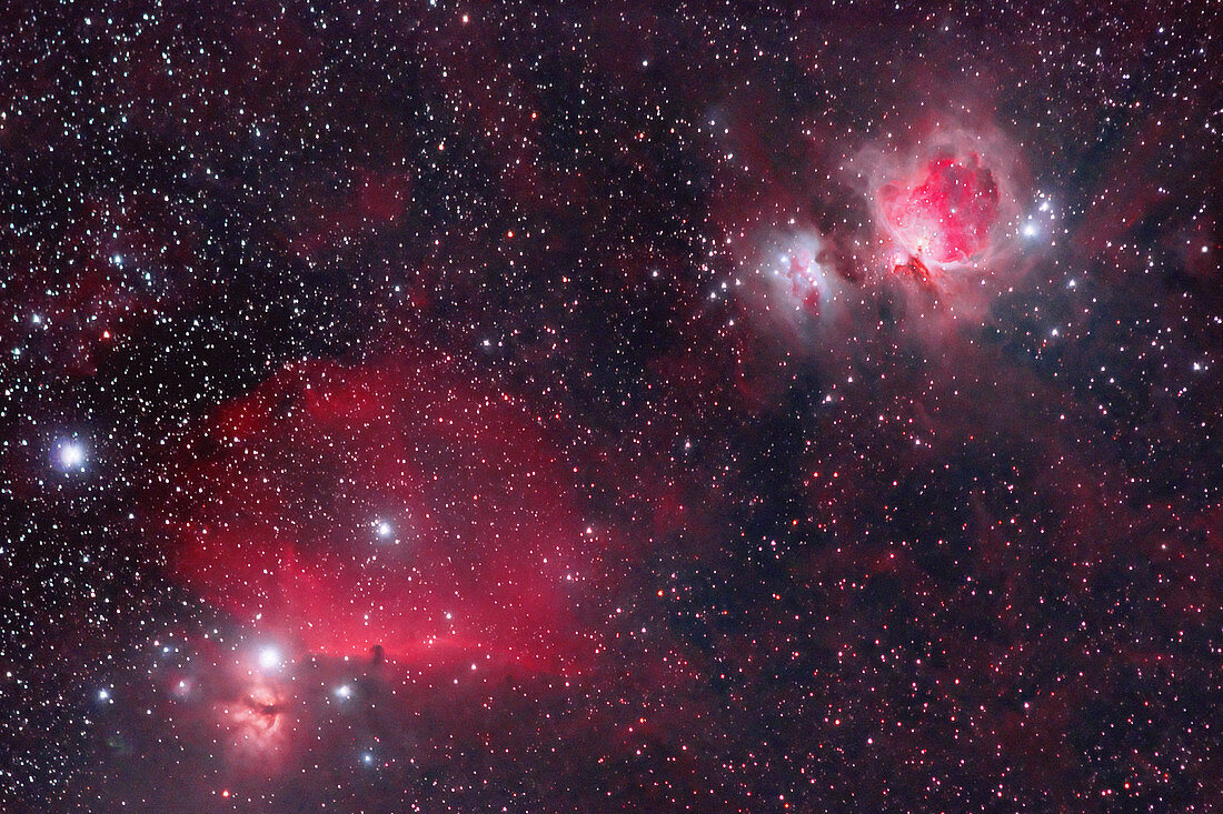 B33 The Horsenead and M42 The Orion Nebul