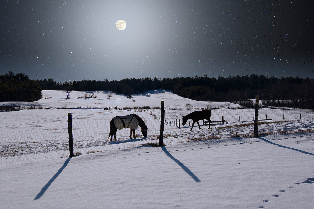 Winter Full Moon