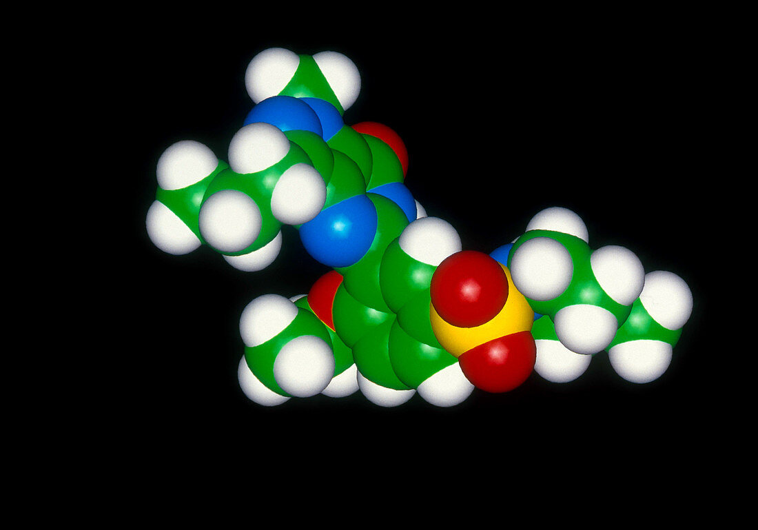 Molecular Model of Viagra