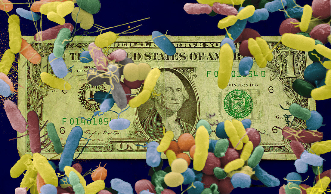 Bacteria SEM On Dollar Bill