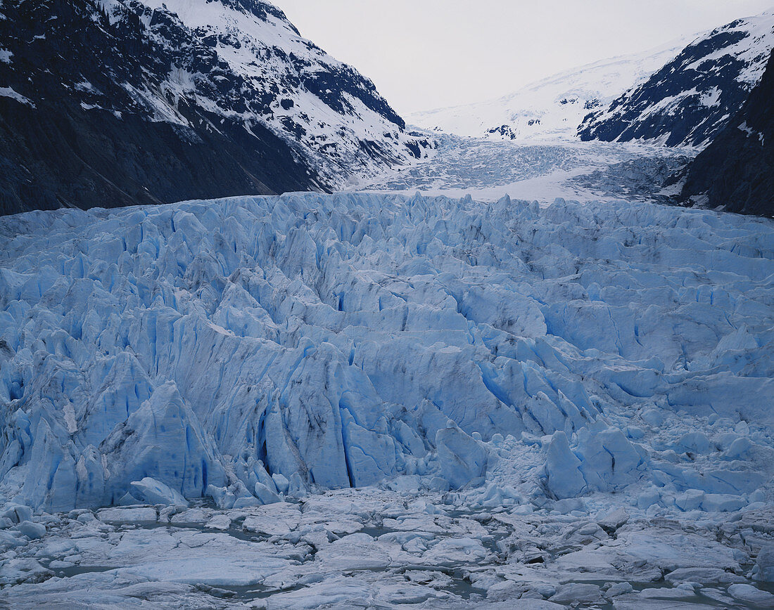 Bear Glacier,Canada